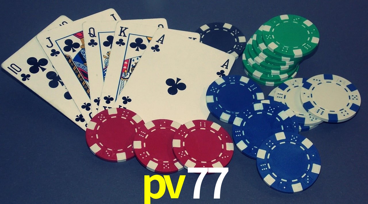 Experiência VIP pv77